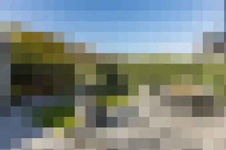 Fuut 69 Bergen op Zoom thumbnail 63