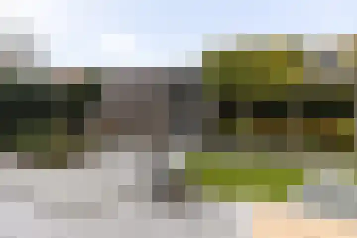 Fuut 69 Bergen op Zoom thumbnail 64