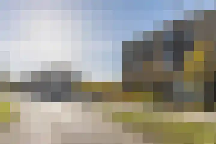 Fuut 69 Bergen op Zoom thumbnail 67
