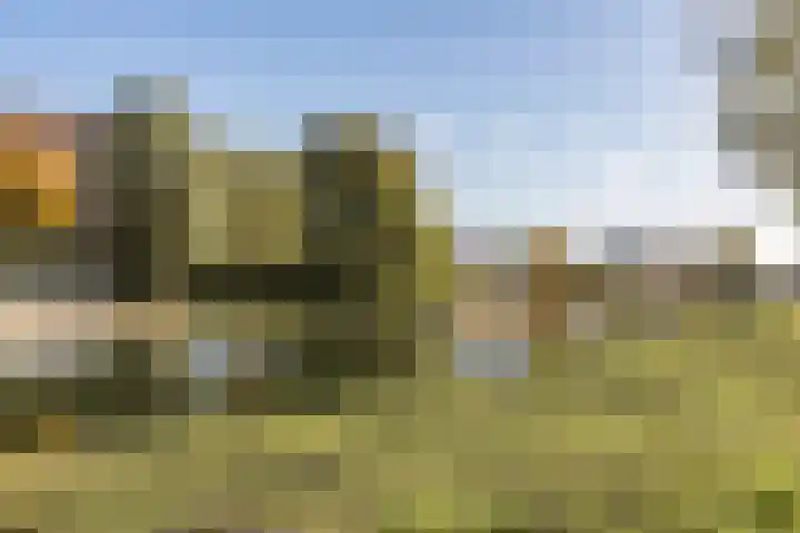 Fuut 69 Bergen op Zoom thumbnail 68