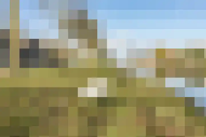 Fuut 69 Bergen op Zoom thumbnail 70