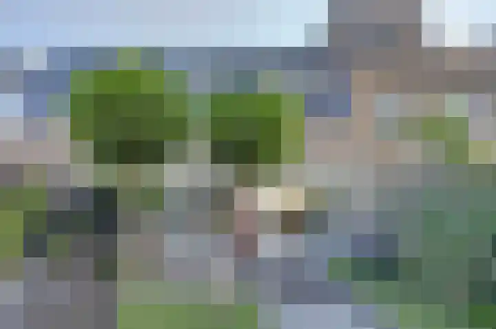 Fuut 7 in De Lier