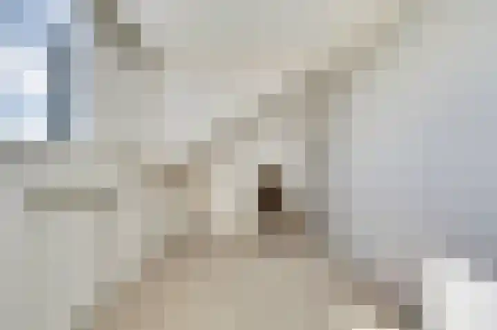 Fuut 7 De Lier thumbnail 22