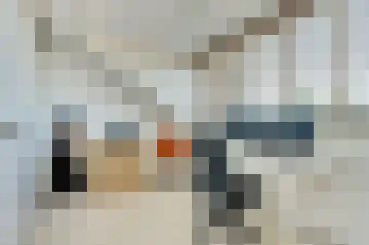 Fuut 7 De Lier thumbnail 23