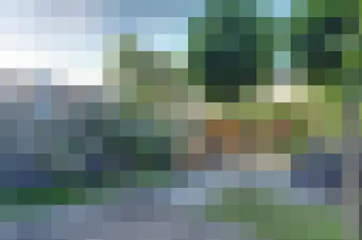 Fuut 7 De Lier thumbnail 26