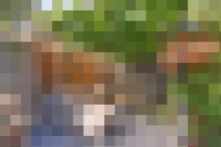 Fuut 7 De Lier thumbnail 27