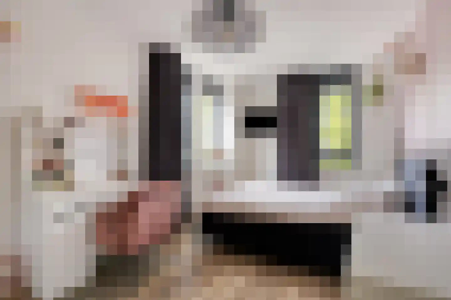 Fuut 75 Bergen op Zoom thumbnail 33