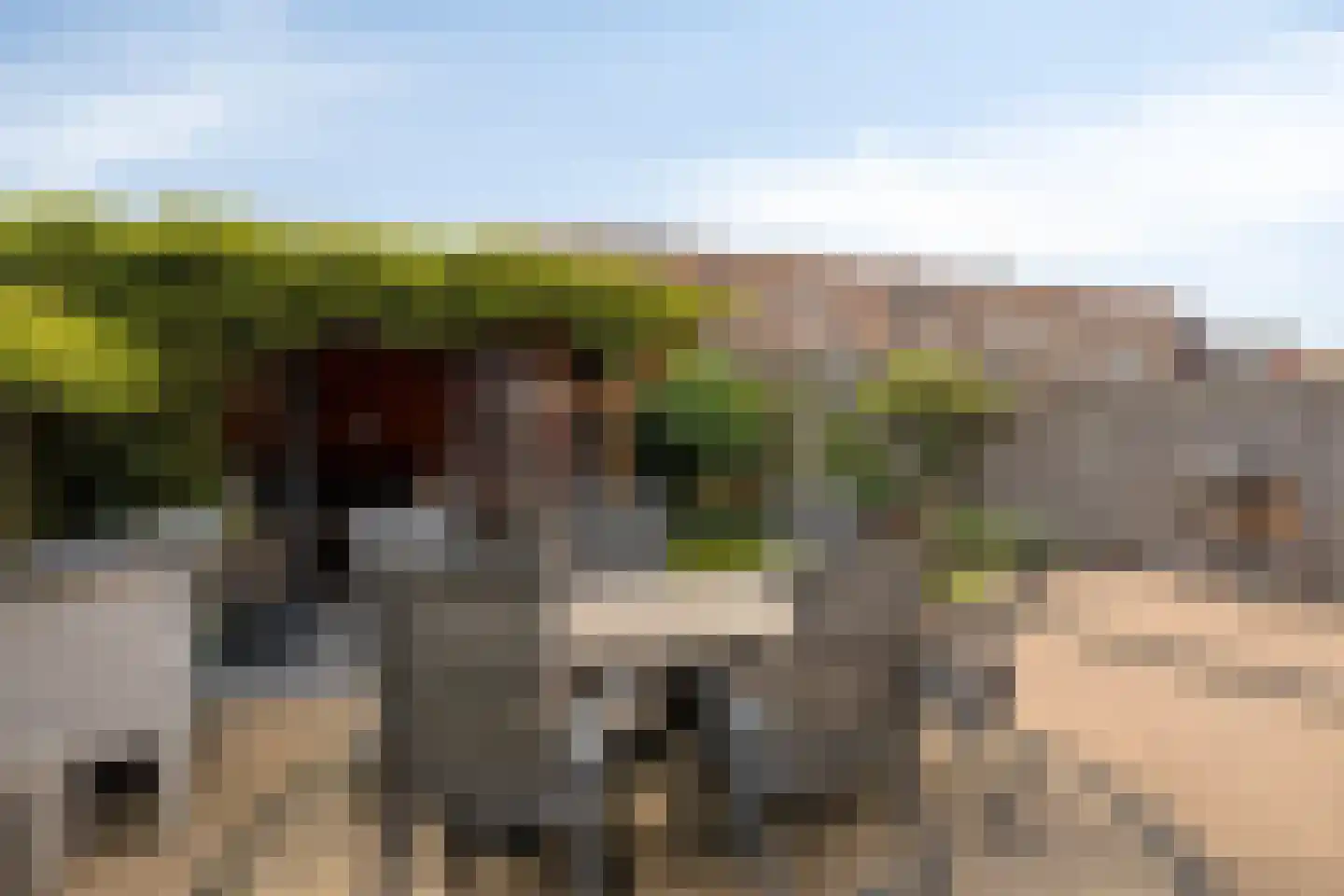 Fuut 75 Bergen op Zoom thumbnail 49