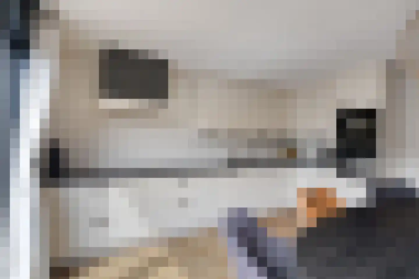 Fuut 75 Bergen op Zoom thumbnail 5