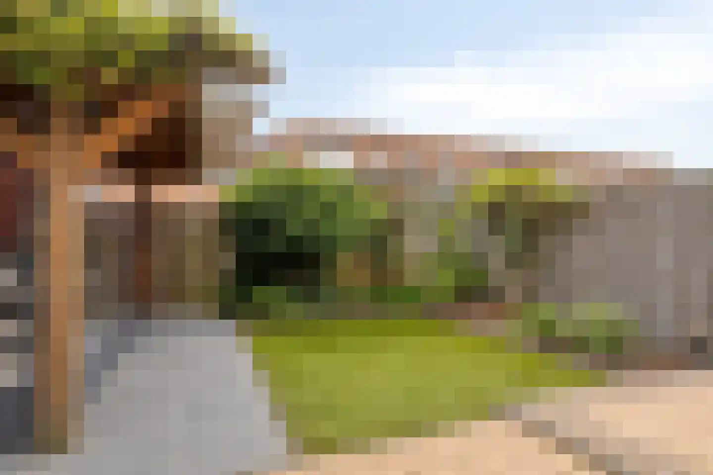 Fuut 75 Bergen op Zoom thumbnail 51