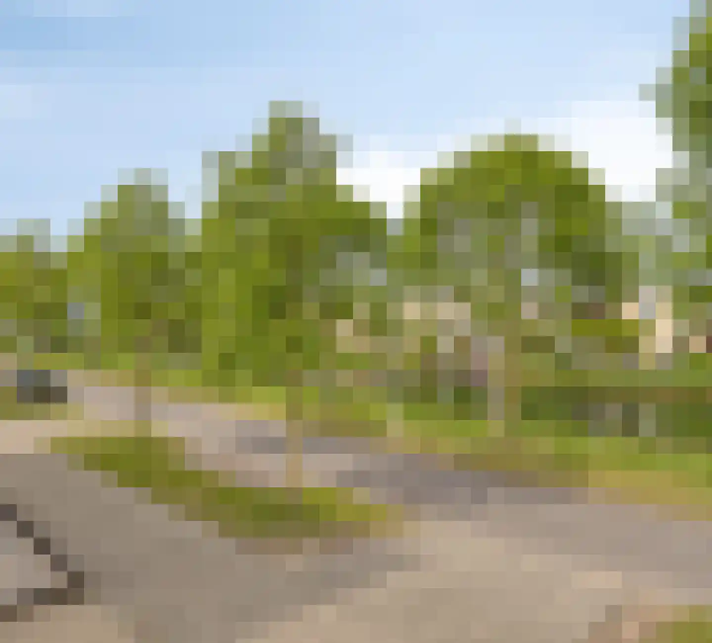 Fuut 75 Bergen op Zoom thumbnail 61