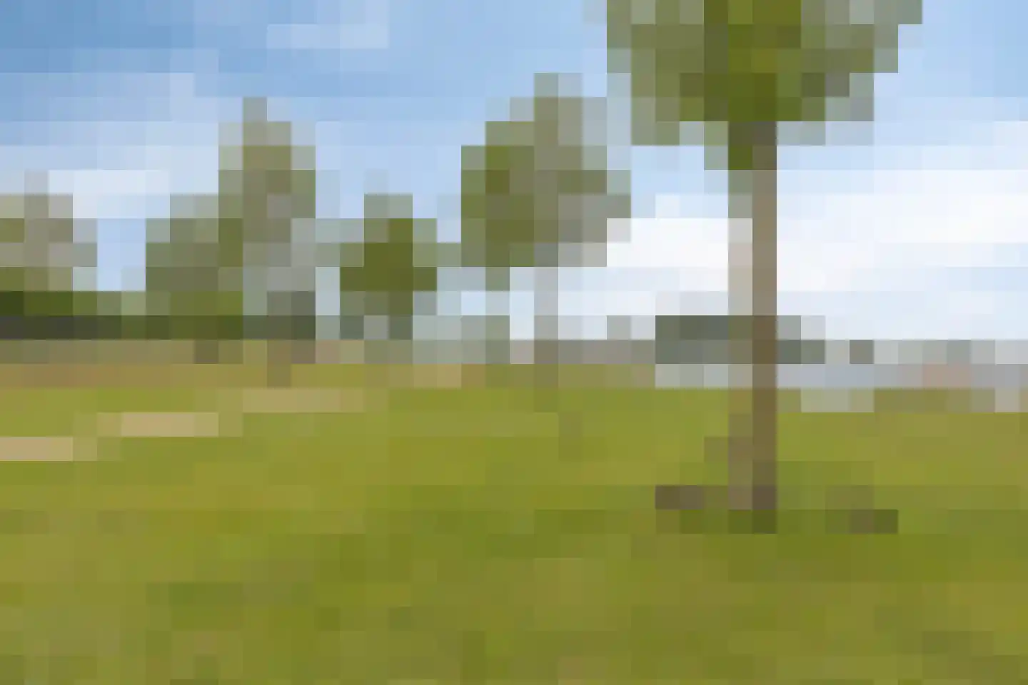 Fuut 75 Bergen op Zoom thumbnail 62