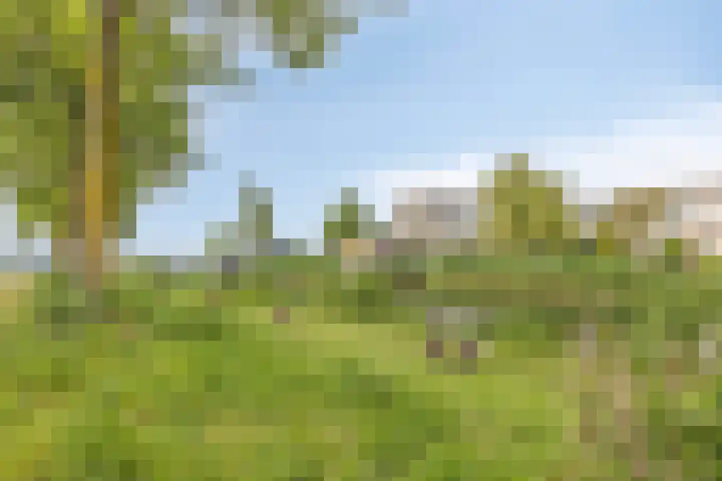 Fuut 75 Bergen op Zoom thumbnail 63