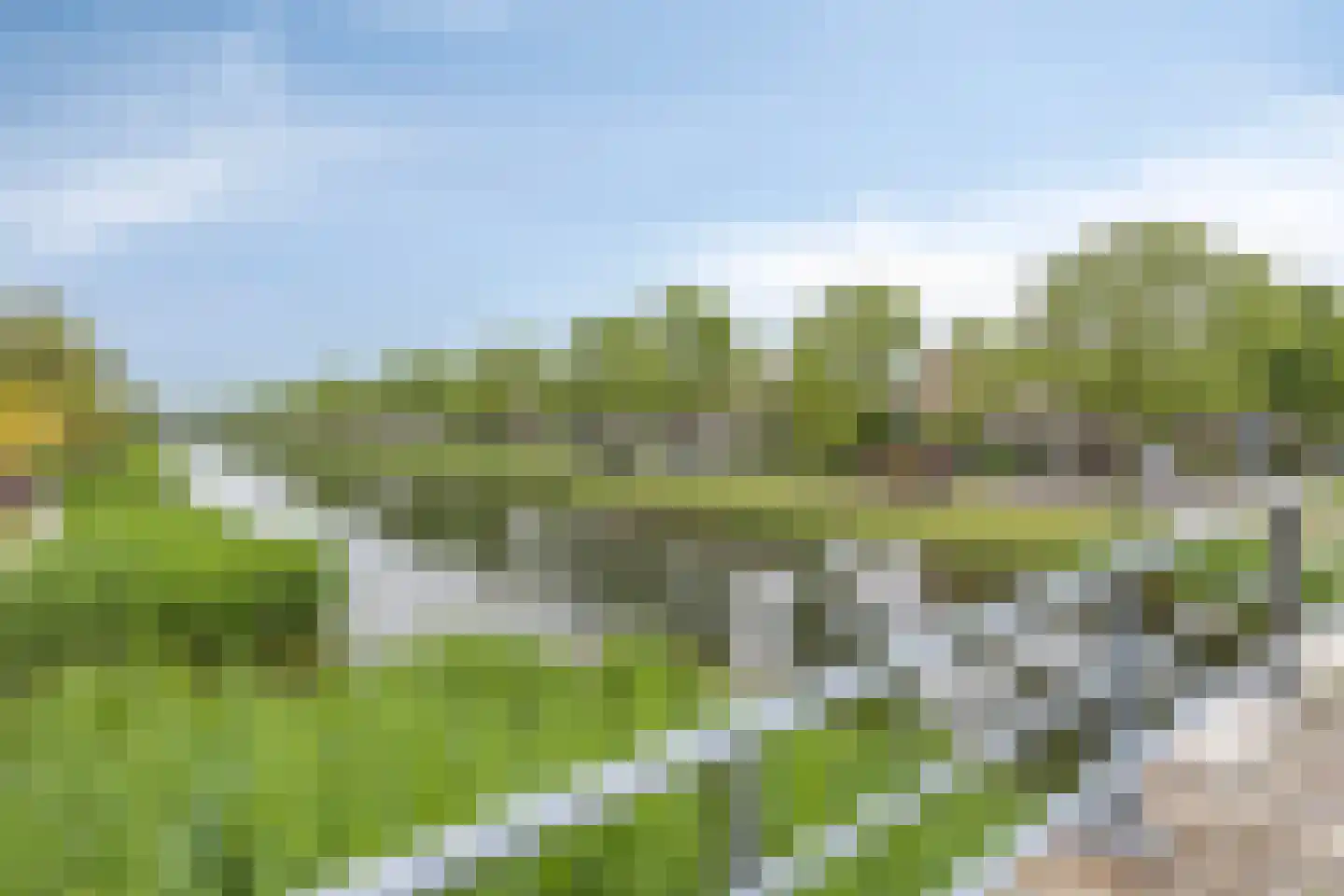 Fuut 75 Bergen op Zoom thumbnail 65