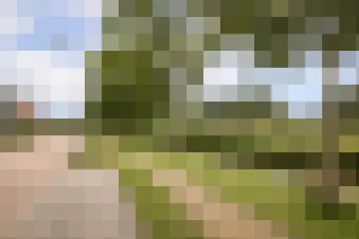 Fuut 8 Grootebroek thumbnail 37