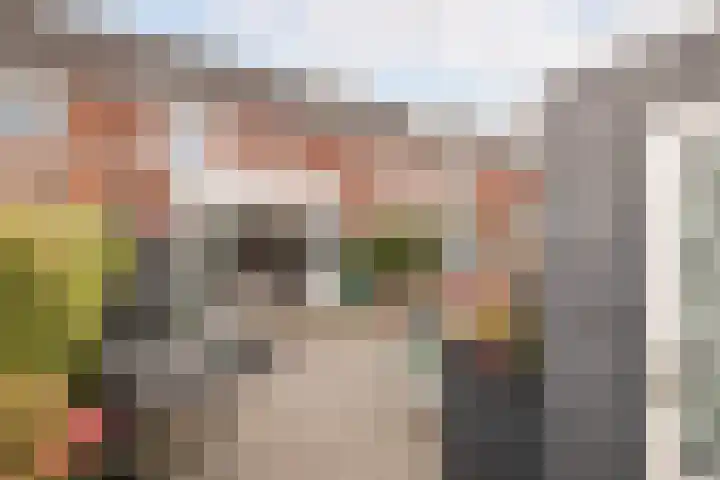 Fuut 8 Grootebroek thumbnail 4