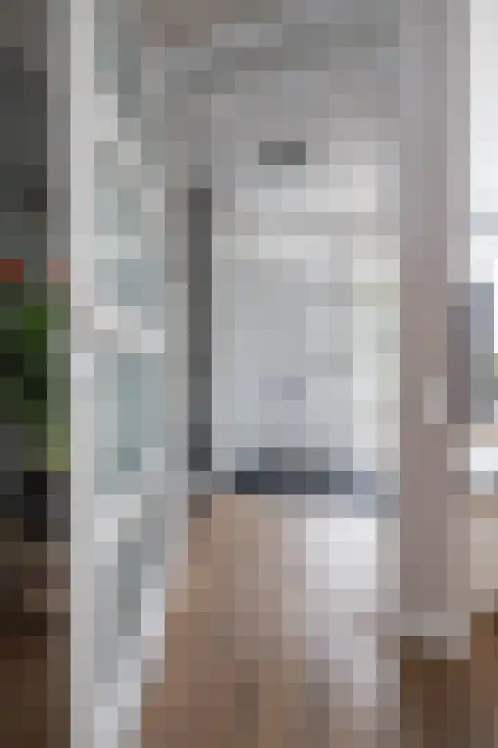 Fuut 8 Grootebroek thumbnail 43