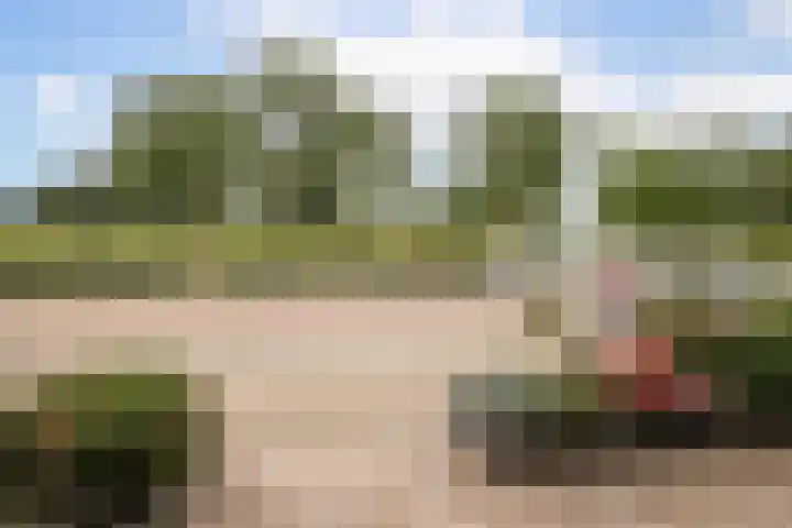 Fuut 8 Grootebroek thumbnail 7