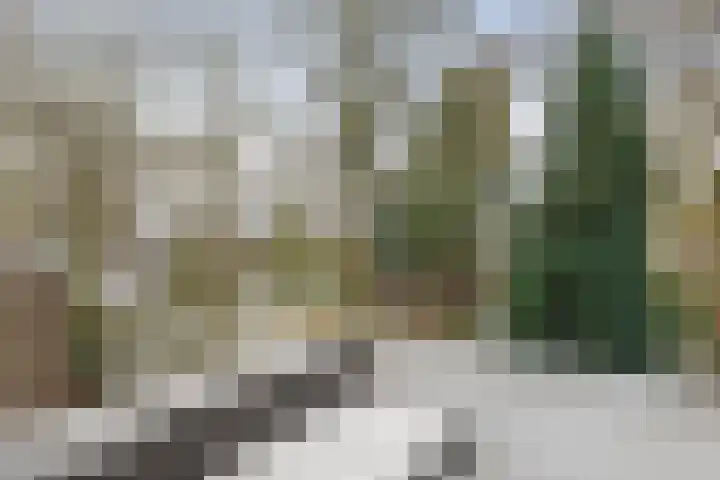 Fuutdonk 2 Veghel thumbnail 23