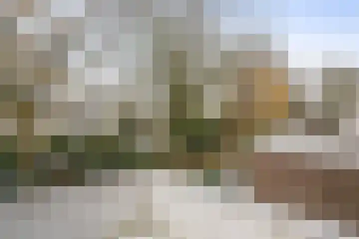 Fuutdonk 2 Veghel thumbnail 24