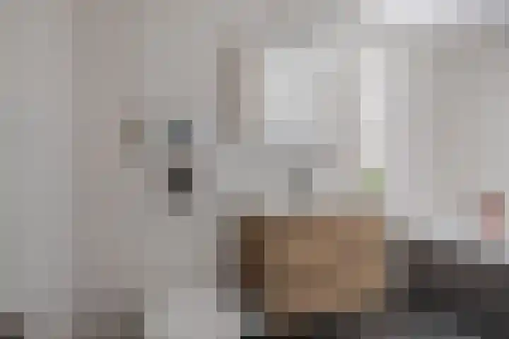 Fuutdonk 2 Veghel thumbnail 25