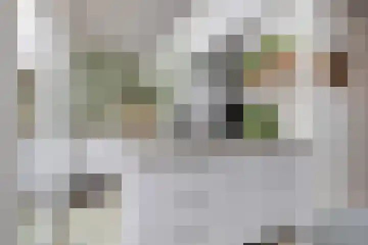 Fuutdonk 2 Veghel thumbnail 4