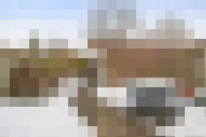 Fuutdonk 2 Veghel thumbnail 41