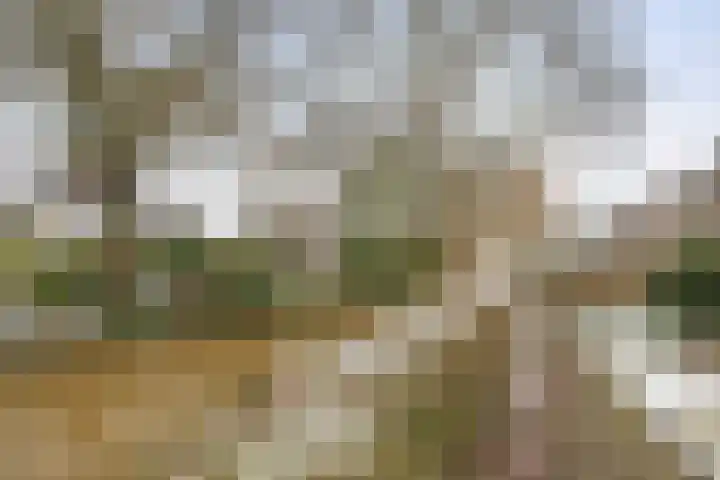 Fuutdonk 2 Veghel thumbnail 45