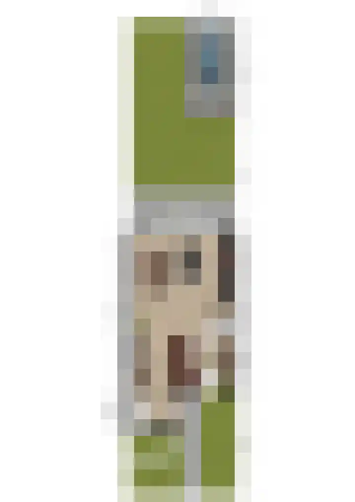 Fuutdonk 2 Veghel thumbnail 50