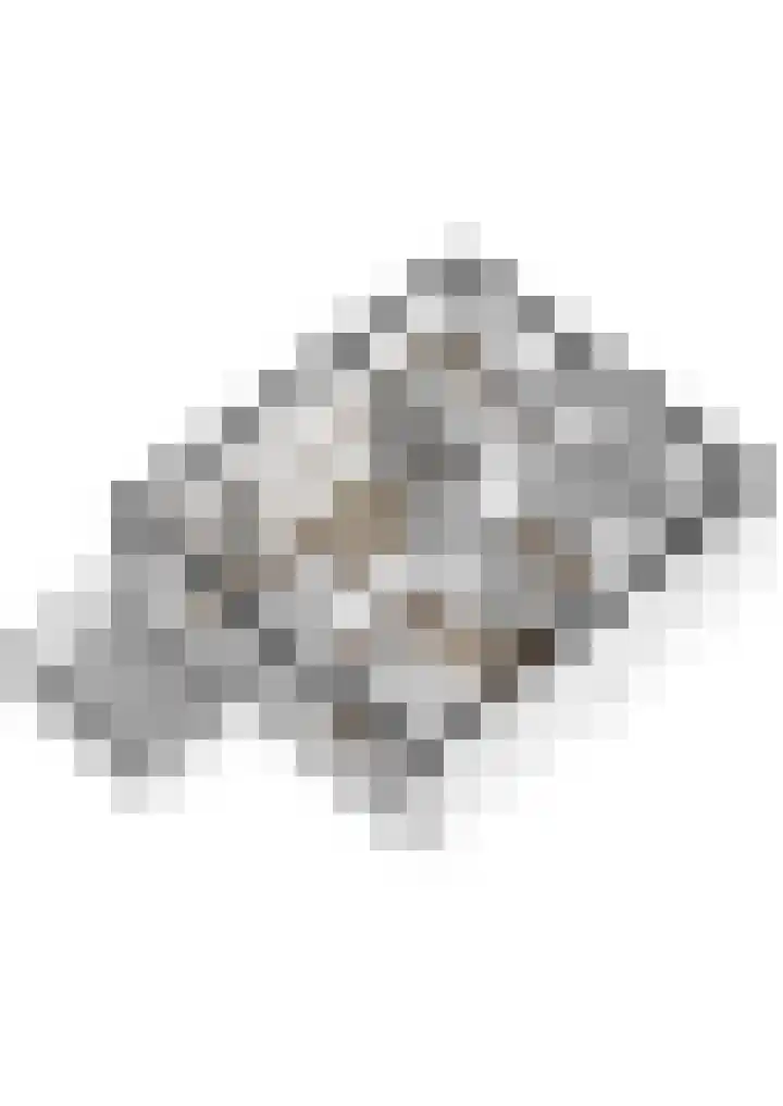 Fuutdonk 2 Veghel thumbnail 52
