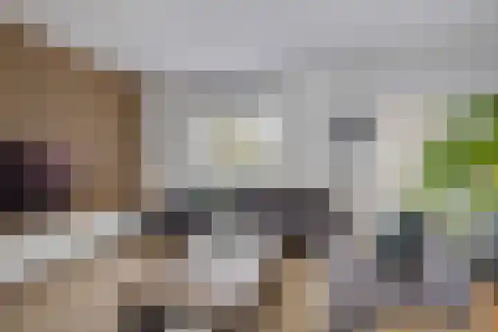 Fuutdonk 2 Veghel thumbnail 9