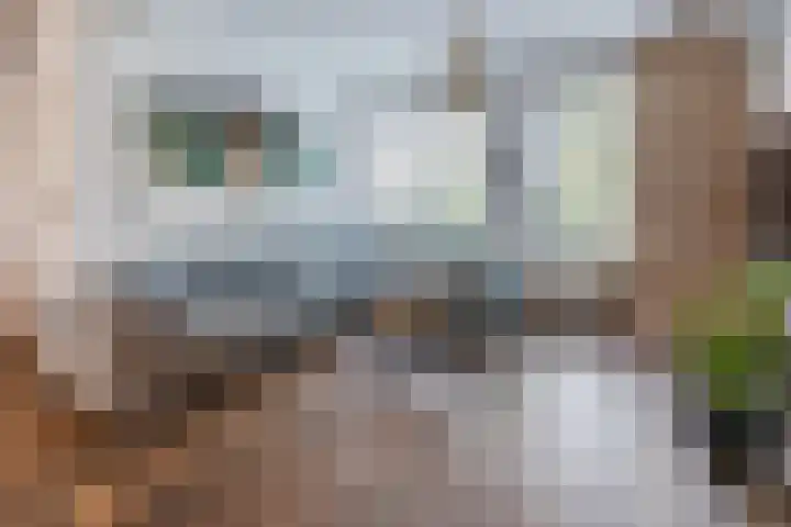 Fuutdonk 22 Veghel thumbnail 10
