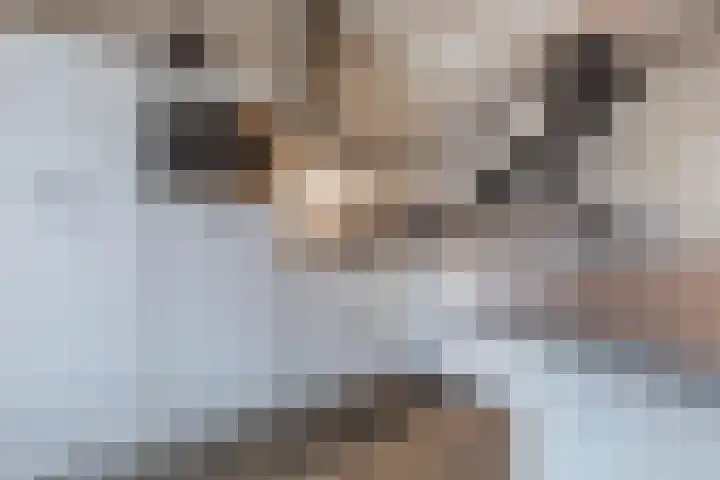 Fuutdonk 22 Veghel thumbnail 13