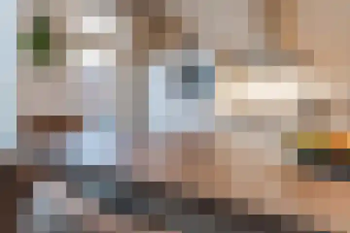 Fuutdonk 22 Veghel thumbnail 15