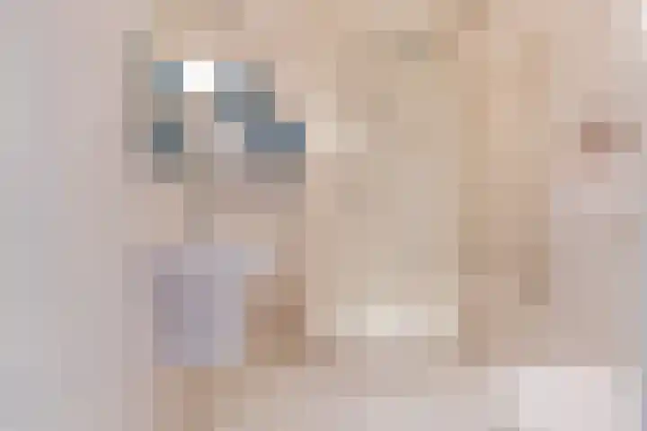 Fuutdonk 22 Veghel thumbnail 22
