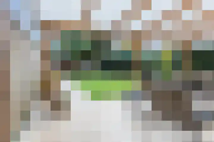 Fuutdonk 22 Veghel thumbnail 24