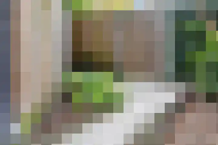 Fuutdonk 22 Veghel thumbnail 28