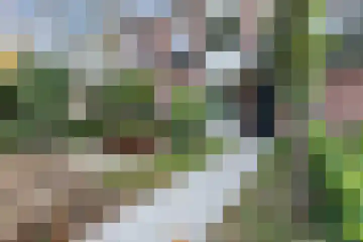 Fuutdonk 22 Veghel thumbnail 6