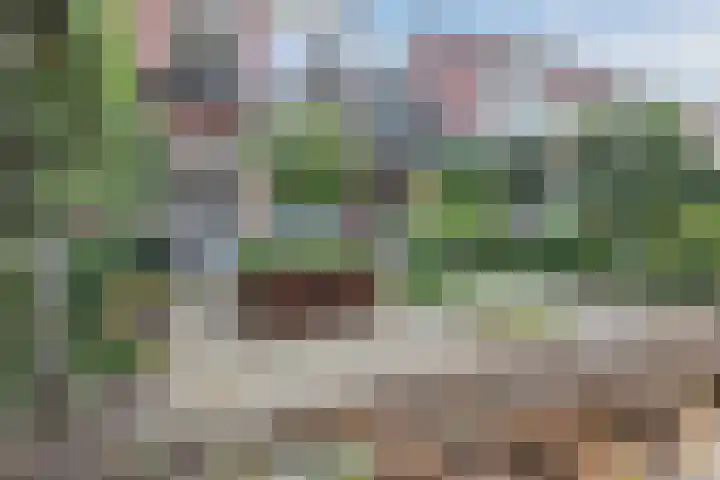 Fuutdonk 22 Veghel thumbnail 7