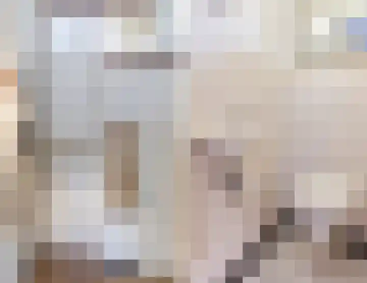 Fuutdonk 22 Veghel thumbnail 8