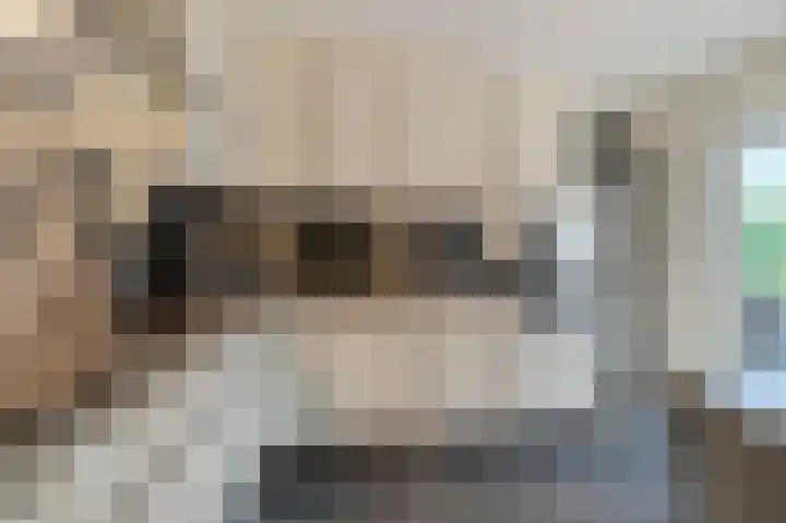 Fuutdonk 24 Veghel thumbnail 17