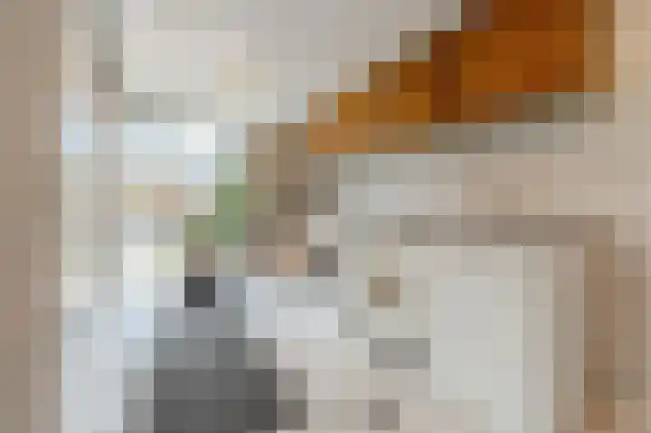 Fuutdonk 24 Veghel thumbnail 19