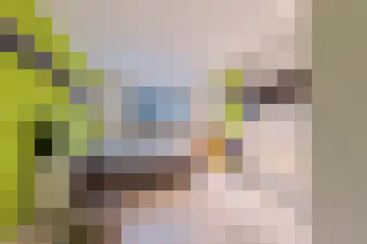 Fuutdonk 24 Veghel thumbnail 25