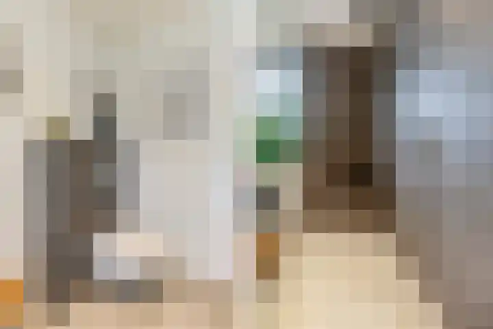 Fuutdonk 24 Veghel thumbnail 31