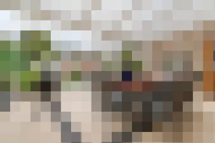 Fuutdonk 24 Veghel thumbnail 39