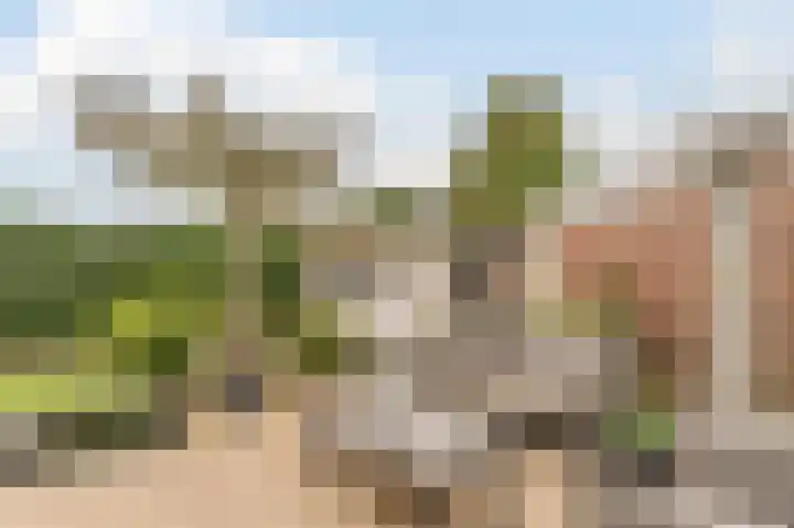 Fuutdonk 24 Veghel thumbnail 44