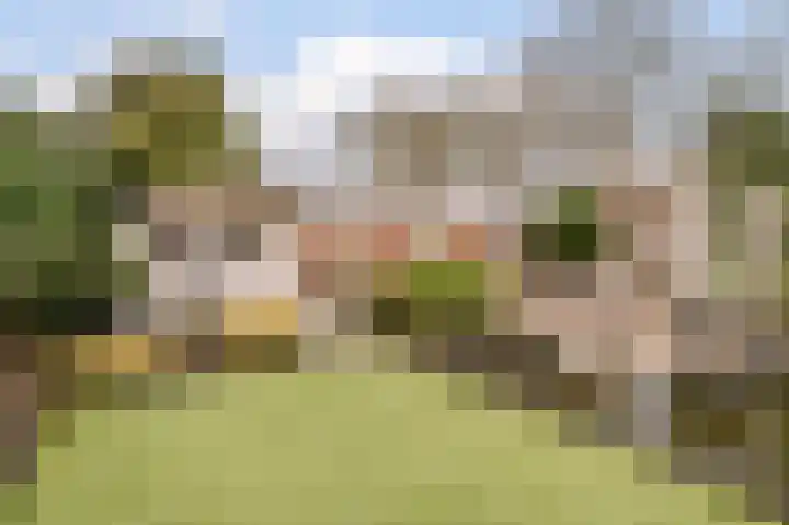 Fuutdonk 24 Veghel thumbnail 46