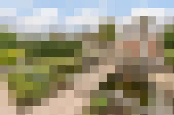 Fuutdonk 24 Veghel thumbnail 47