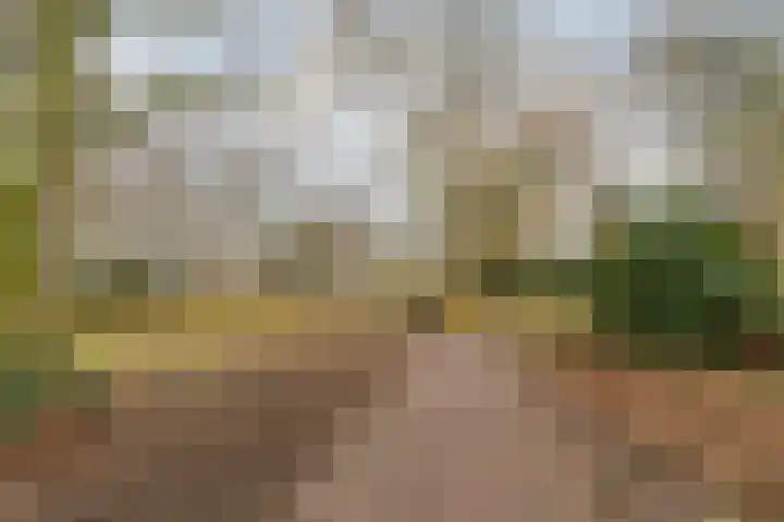 Fuutdonk 24 Veghel thumbnail 52
