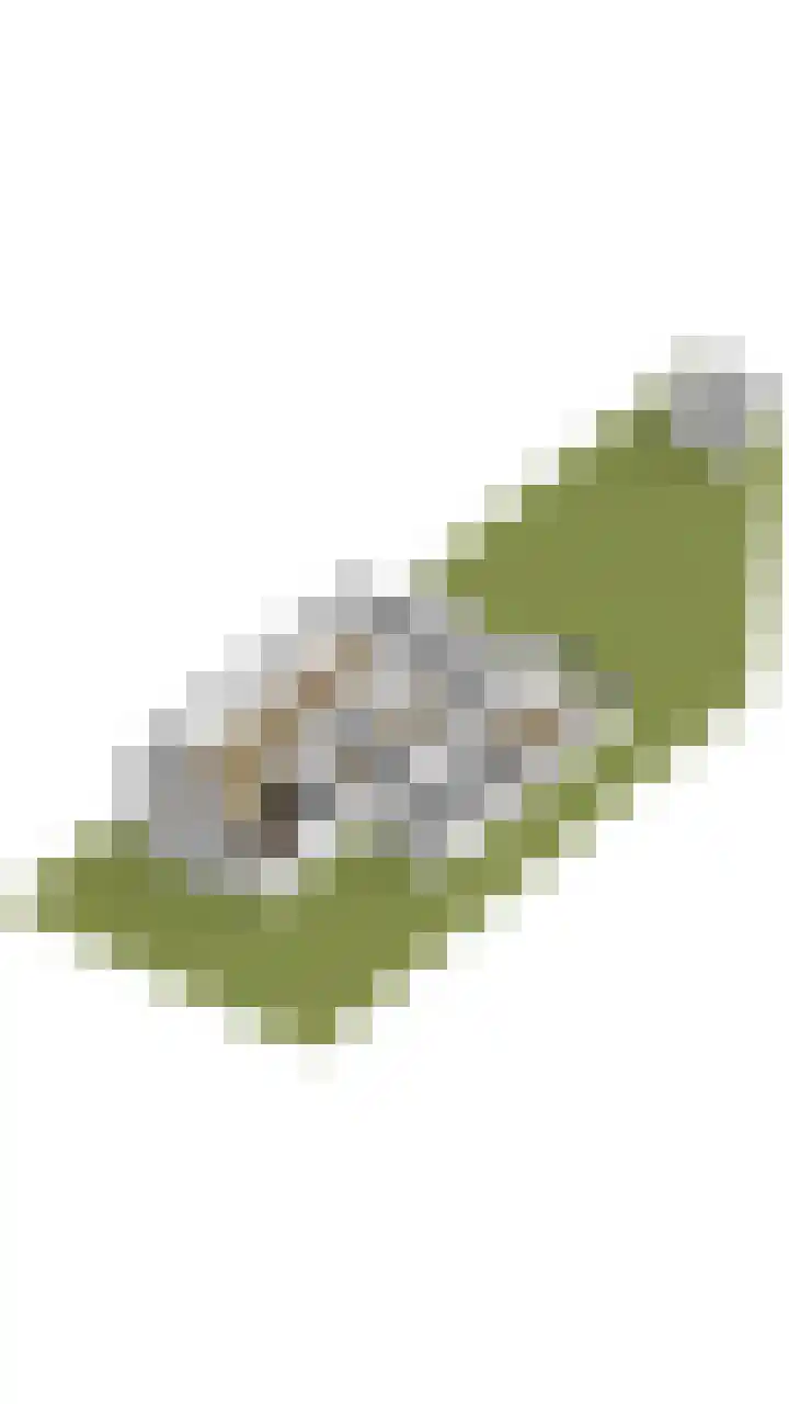 Fuutdonk 24 Veghel thumbnail 56